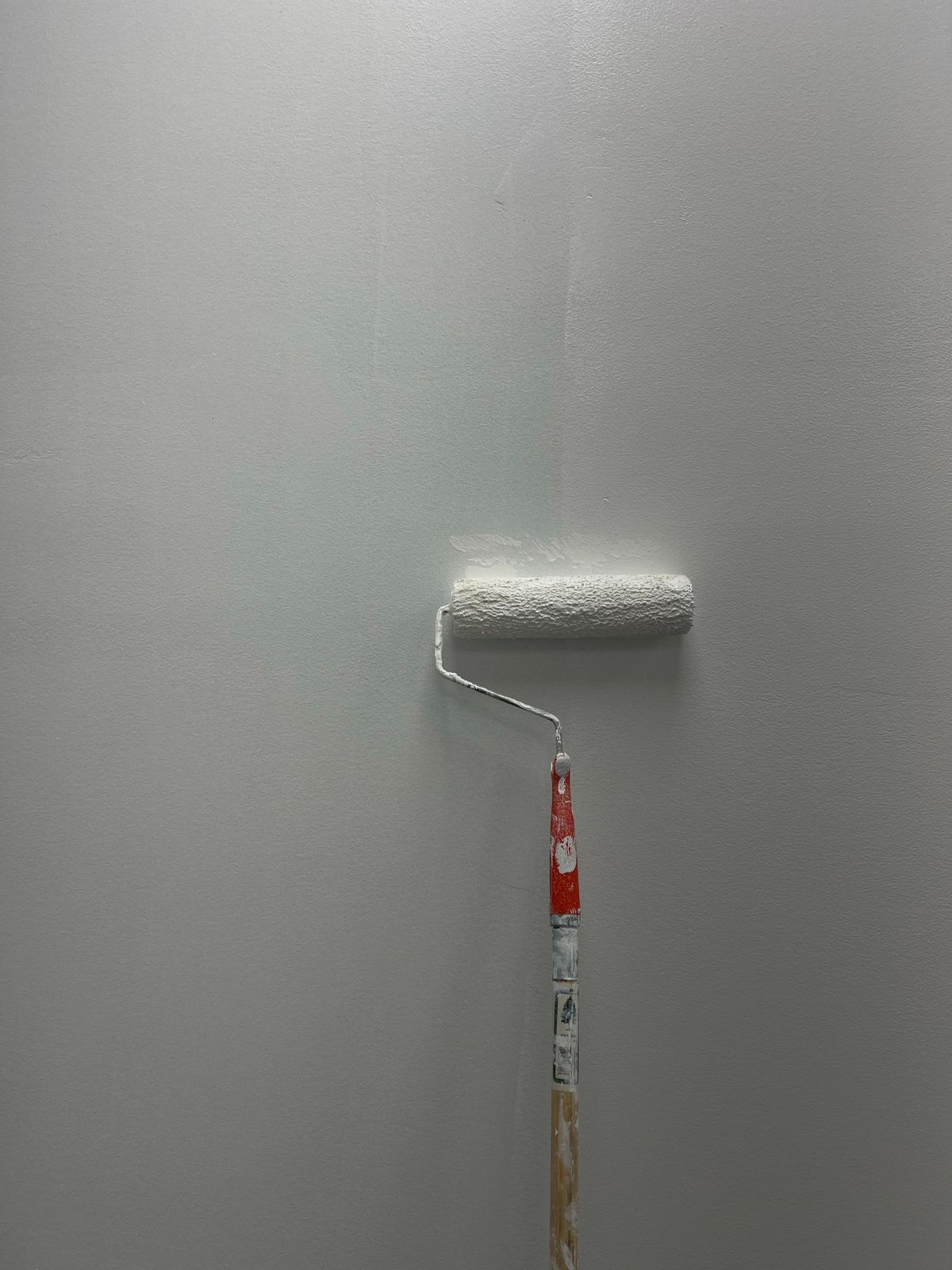 A gray wall being freshly painted with a roller